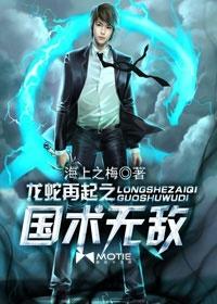 龙蛇再起之国术无敌 龙蛇再起之国术无敌